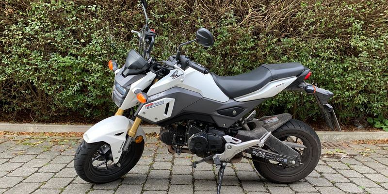Bild des Fahrschulroller's Model: Honda MSX 125