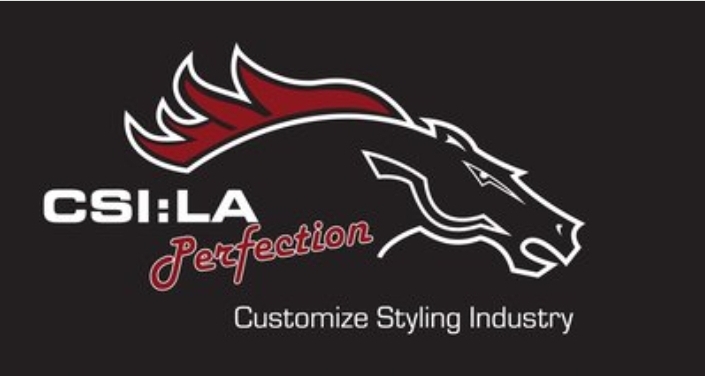 Das Bild zeigt das Logo von "CSI:LA" als Partner